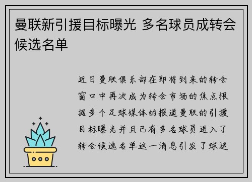 曼联新引援目标曝光 多名球员成转会候选名单