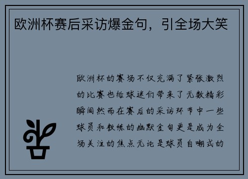 欧洲杯赛后采访爆金句，引全场大笑